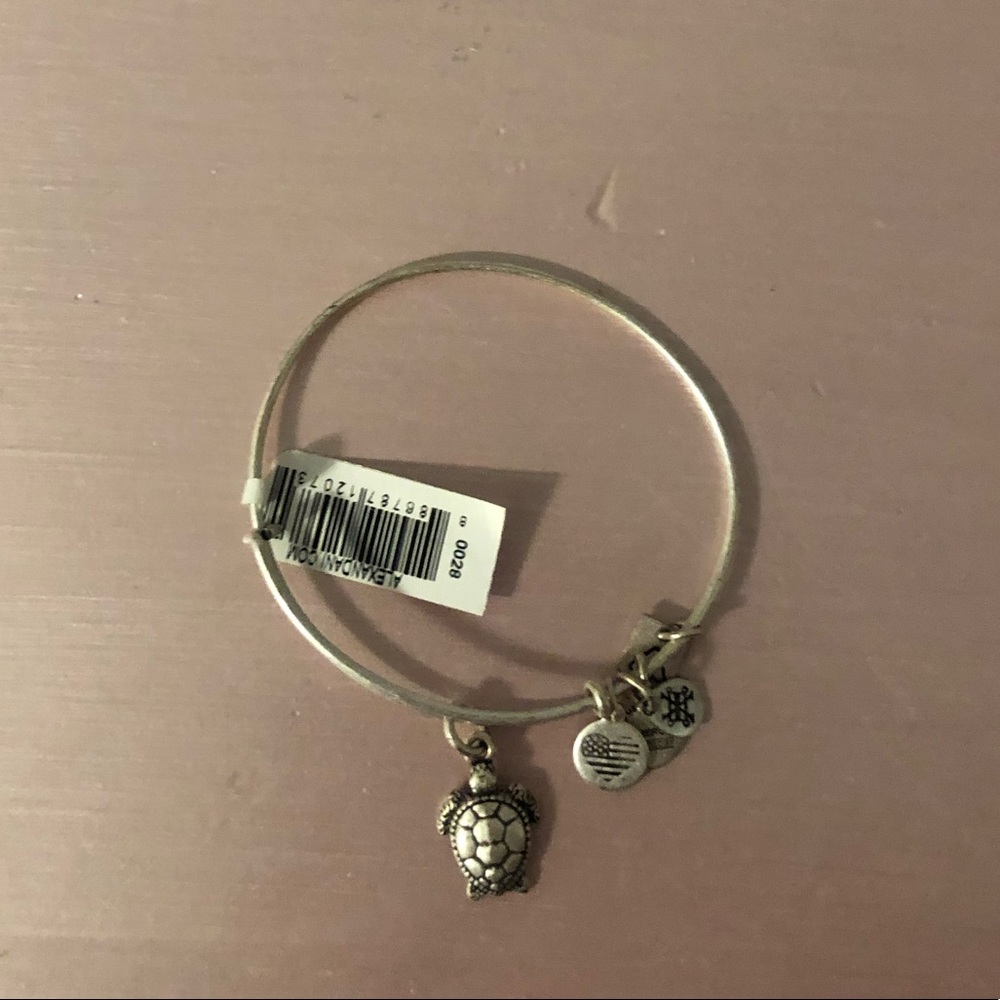 Alex and Ani bracelet